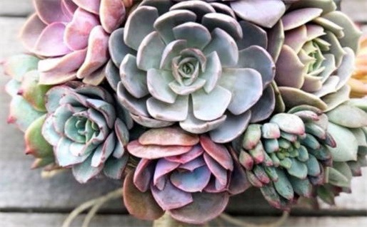 2025年农历三月十九结婚吉日查询 今日办婚礼好不好