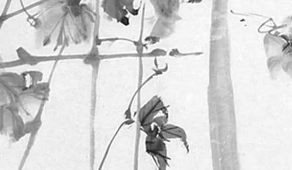 bazi (161) bazi (161)