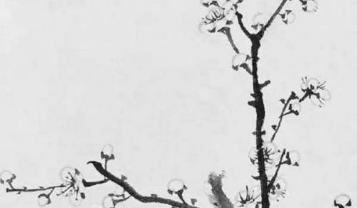 客厅沙发对面墙上挂什么画好 花开富贵繁荣昌盛