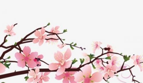 办公室放什么花最好 红色花卉功效多