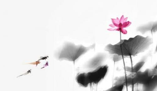 适合在办公室养的绿植 生长茂盛青翠碧绿