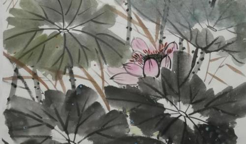 办公室旺财风水植物 常绿植物万事如意