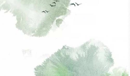 办公桌最旺风水植物 发财树最能招财