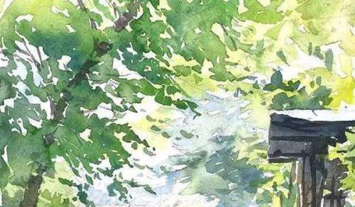 办公室放什么植物好又旺财 金钱树仙客来都行