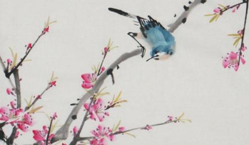 客厅放什么植物好风水又好养 根据植物的寓意选择