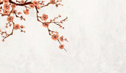 家中财位放什么最招财 吉祥招财植物最合适不过