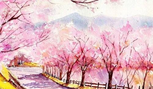 办公室布置风水 保持整理财气忌污