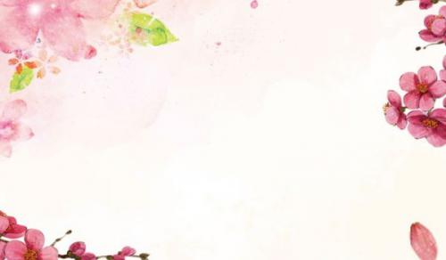 家中财位摆放富贵竹 旺财富贵典雅好运势