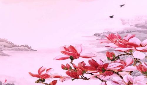 财位上放什么植物最旺 富贵竹金钱树