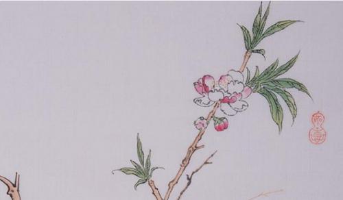 客厅财位上放什么最招财 大叶片的植物旺财旺运