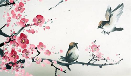 庭院种什么树风水好又旺财子 桂石罗旺财旺运