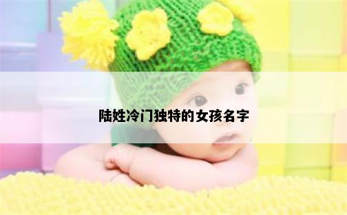 陆姓冷门独特的女孩名字