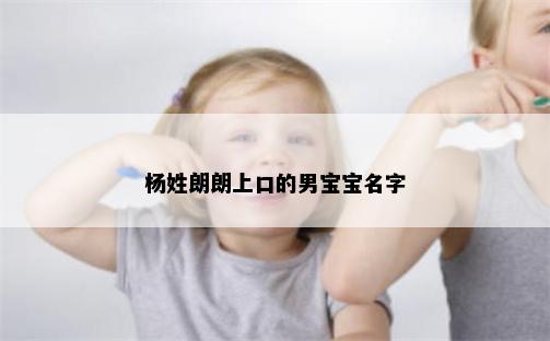 杨姓朗朗上口的男宝宝名字