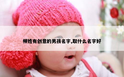 柳姓有创意的男孩名字,取什么名字好