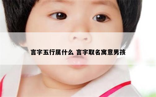 言字五行属什么 言字取名寓意男孩