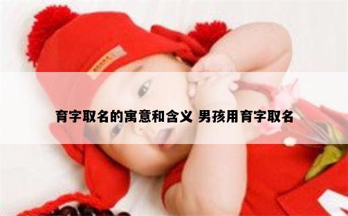 育字取名的寓意和含义 男孩用育字取名