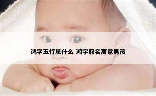 鸿字五行属什么 鸿字取名寓意男孩