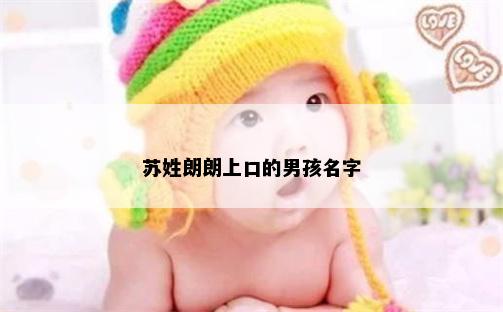 苏姓朗朗上口的男孩名字