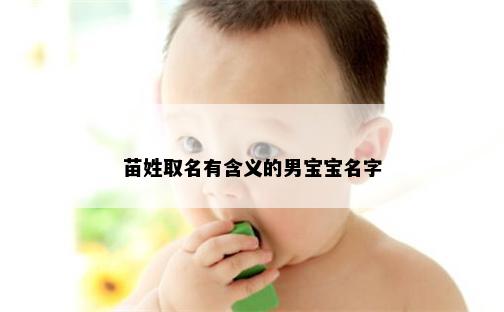 苗姓取名有含义的男宝宝名字