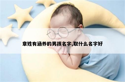 章姓有涵养的男孩名字,取什么名字好